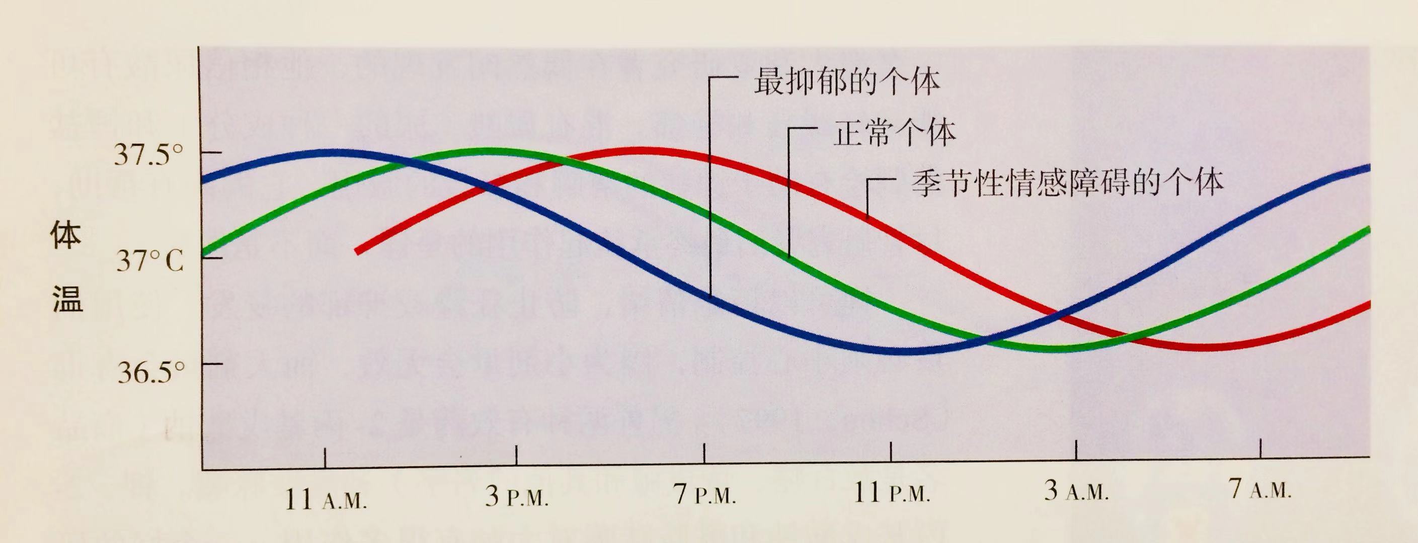 冬季抑郁症 | 你的生活需要多一点光