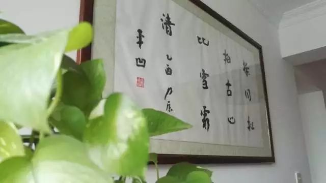 桃李成蹊，“伊”往无前