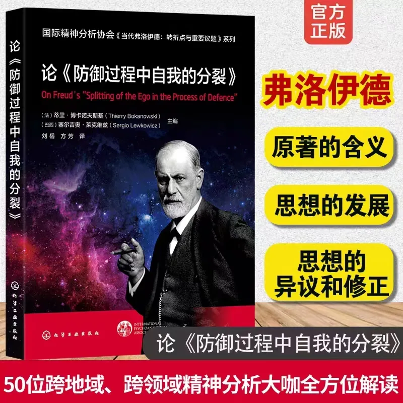 IPA分析师讲座 | 防御过程中自我的分裂