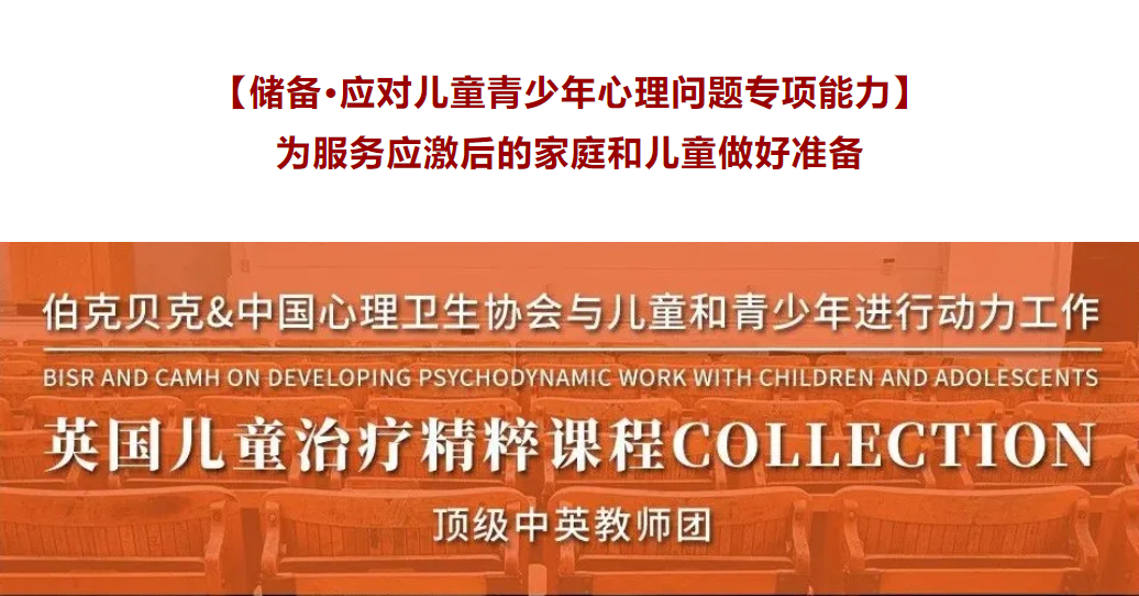 【干货专业课】英国儿童治疗精粹课程COLLECTION二期