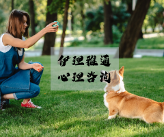 没想到你竟是这样的狗！