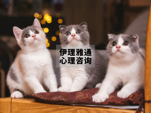 好奇心不会害死猫