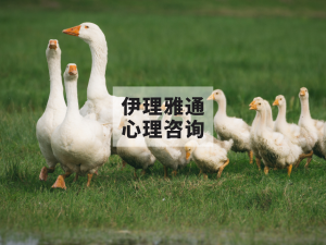 孩子入园哭两个月，是不安全型依恋吗？| 鲍尔比给了意想不到的答案