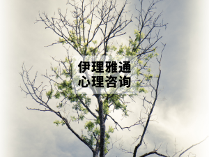 精品班·精神医学症状、诊断与测量：咨询师必备的评估地图