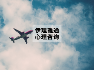  海边排队“指挥飞机”火了，这是你的“全能感续费”