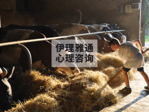 为什么中国父母会沉迷于让孩子吃苦？